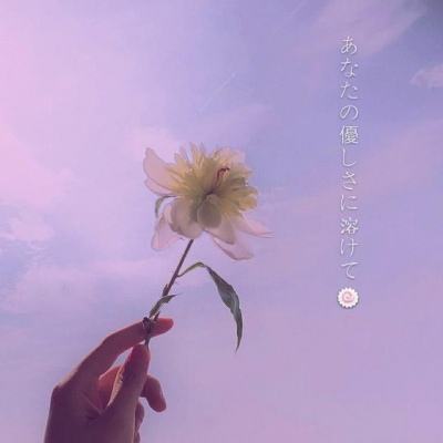 元宝传奇手游(暂未上线)v3.88 安卓版
